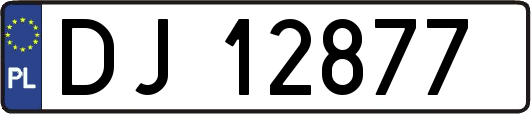 DJ12877