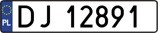 DJ12891