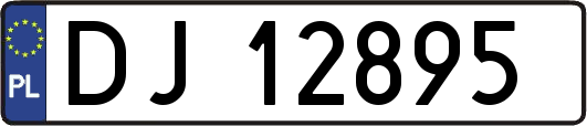 DJ12895