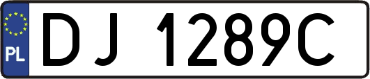 DJ1289C