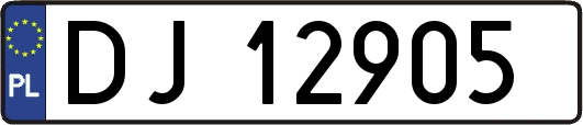 DJ12905