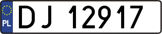 DJ12917