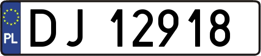 DJ12918