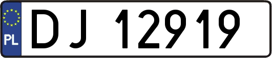 DJ12919