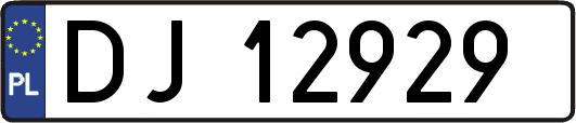 DJ12929