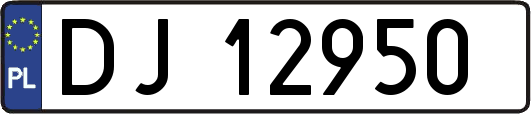DJ12950