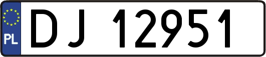 DJ12951