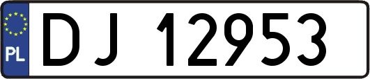 DJ12953