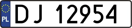 DJ12954