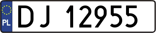 DJ12955