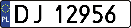DJ12956