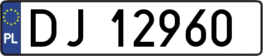 DJ12960