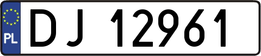 DJ12961