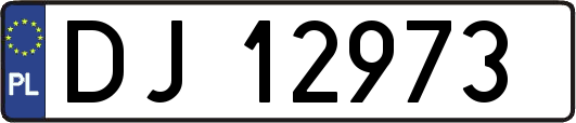 DJ12973