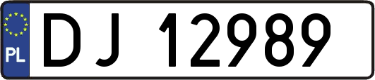 DJ12989