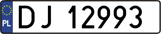 DJ12993
