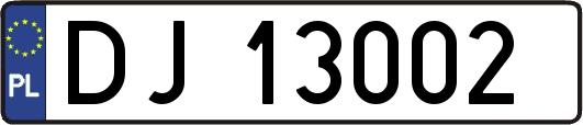 DJ13002