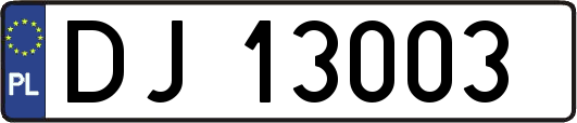 DJ13003