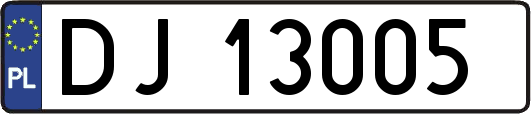 DJ13005