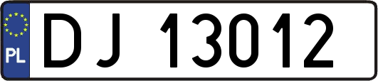 DJ13012