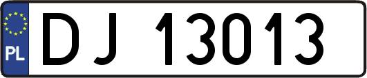 DJ13013