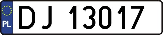 DJ13017
