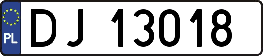 DJ13018