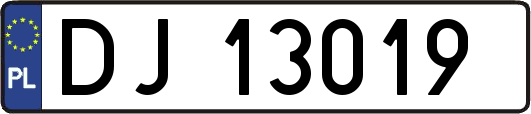 DJ13019