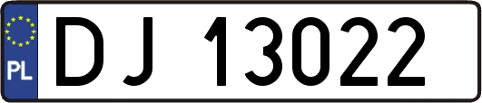 DJ13022