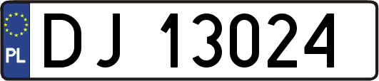 DJ13024
