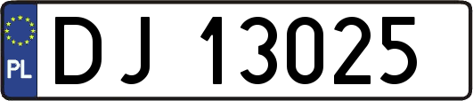 DJ13025