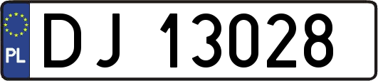 DJ13028