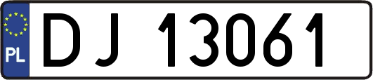 DJ13061