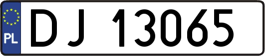 DJ13065