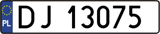 DJ13075