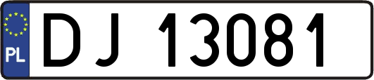 DJ13081