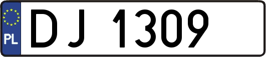 DJ1309