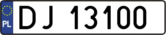 DJ13100