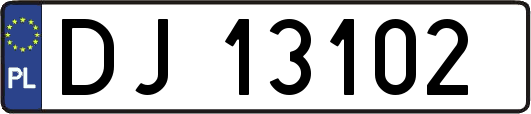 DJ13102