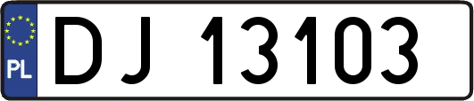 DJ13103