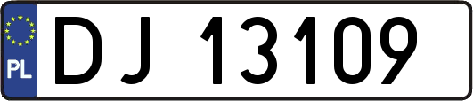 DJ13109