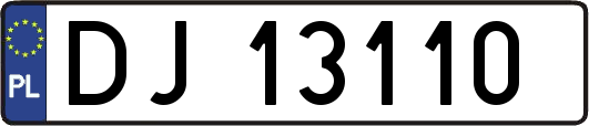 DJ13110
