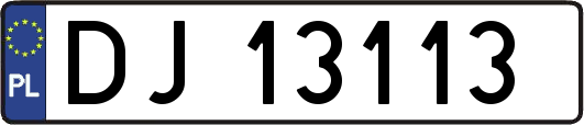 DJ13113