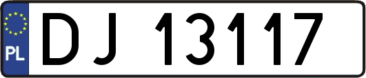 DJ13117