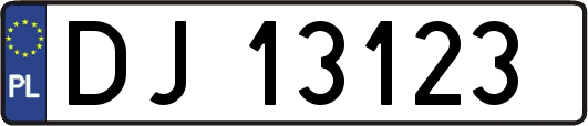 DJ13123