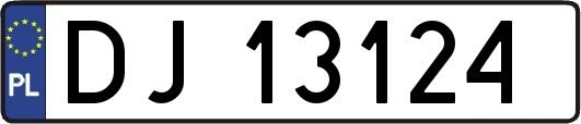 DJ13124