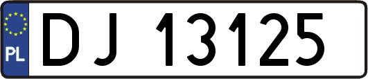 DJ13125