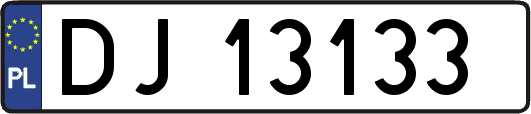 DJ13133