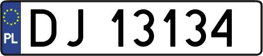 DJ13134