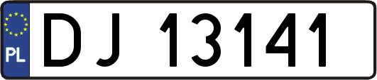 DJ13141